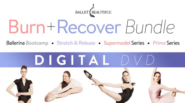 Burn & Recover Digital DVD Bundle!